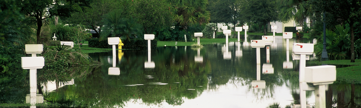 residential mailboxes in standing water