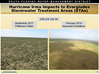 Click for Stormwater Treatment Areas (STAs)