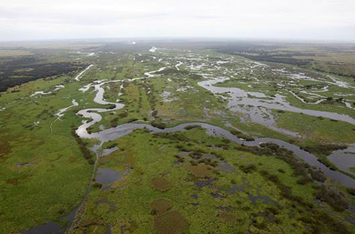 photo of Kissimmee River floodplain