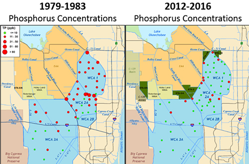 map of phosphorus concentration comparison