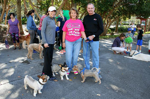 photo of Paws for a Cause dog walk event