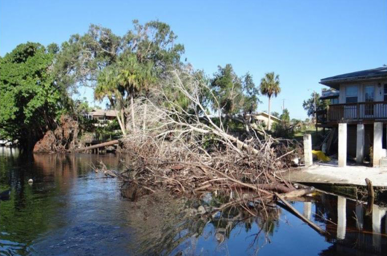 photo of tree in Imperial River down by Hurricane Irma