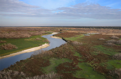 photo of drying Kissimmee River floodplain in January 2019
