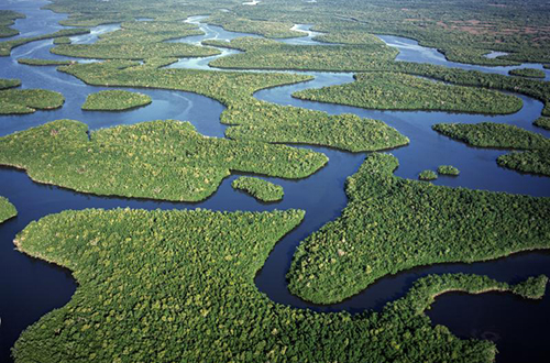 Florida wetlands