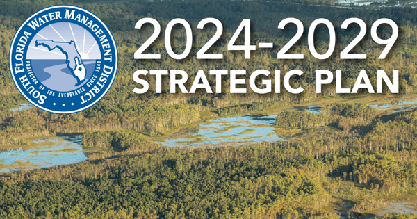 2024-2029 Strategic Plan 