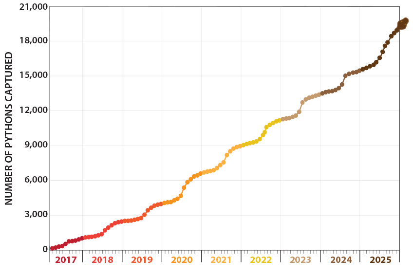 Chart of total pythons eliminated