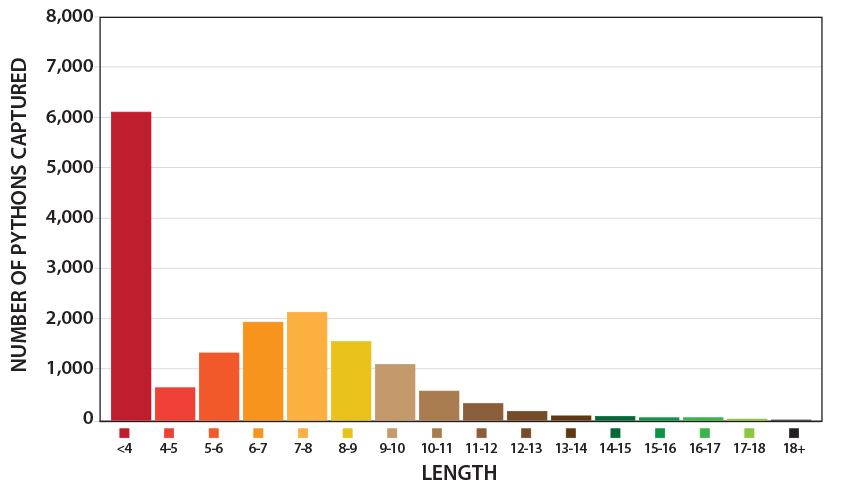 Lengths of pythons eliminated