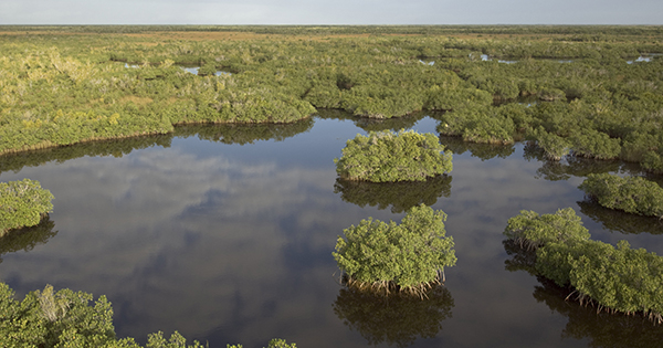 Everglades National Park