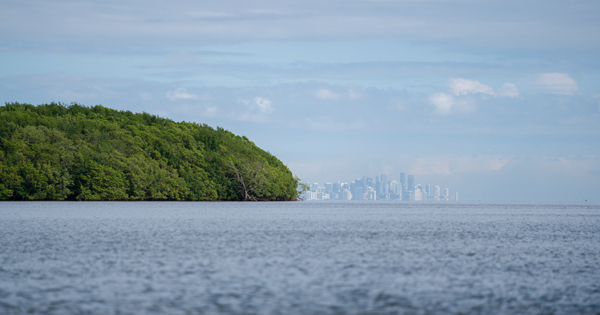 Biscayne Bay