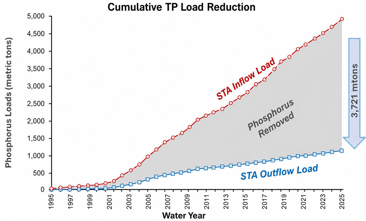 Graph showing cumulative STA inflow and outflow loads and phosphorus removed by year
