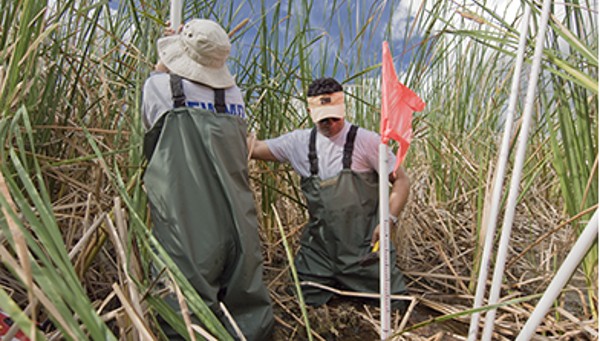 two men working in tall grass