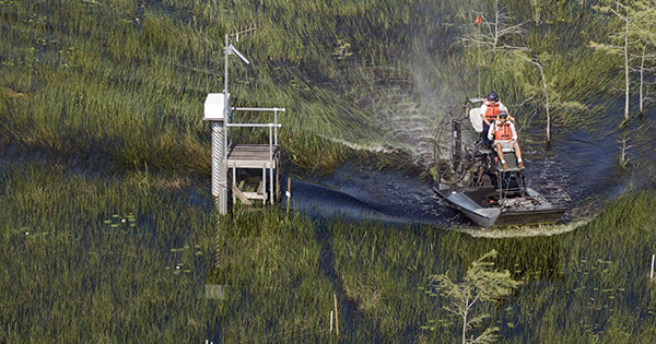 airboat traveling through wetland