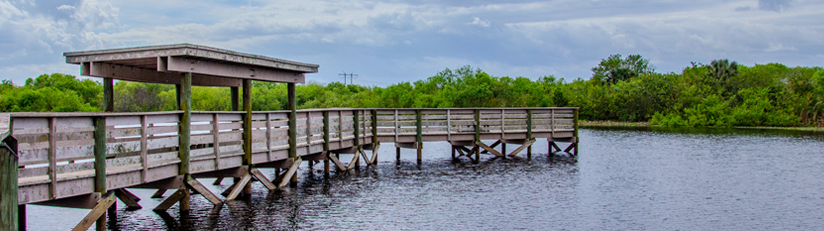 Wooden boardwalk extending over a wetland surrounded by green vegetation.