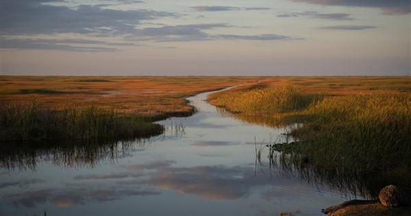 everglades sunrise image