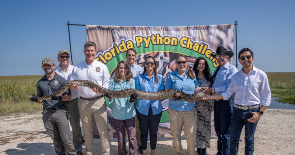 Florida Python Challenge
