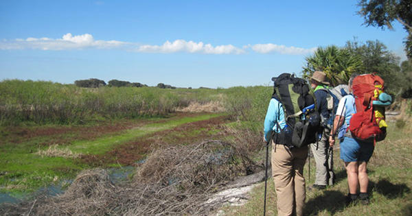 Group of Hikers