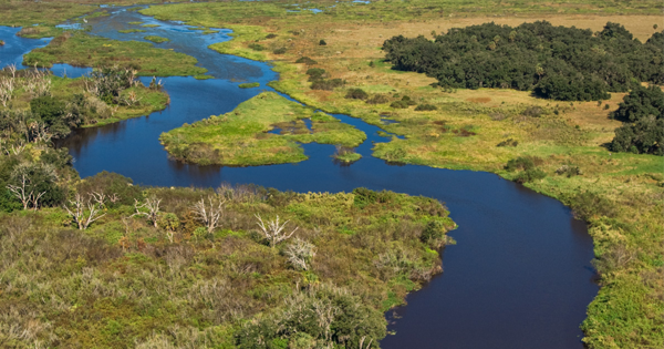 Kissimmee River