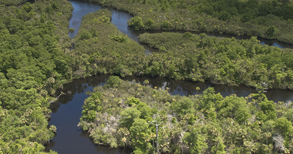 Loxahatchee River