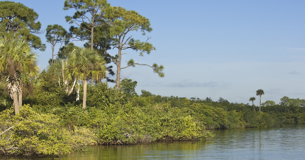 Saint Lucie River