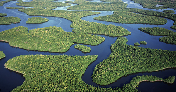 Greater Everglades Ecosystem