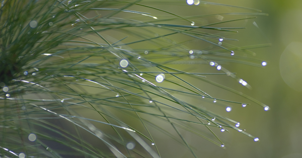 Background Water Droplets