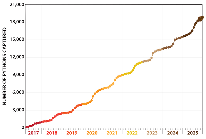 Chart of total pythons eliminated