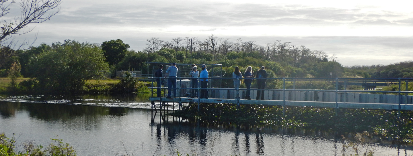 People looking over the Feeder Canal Basin