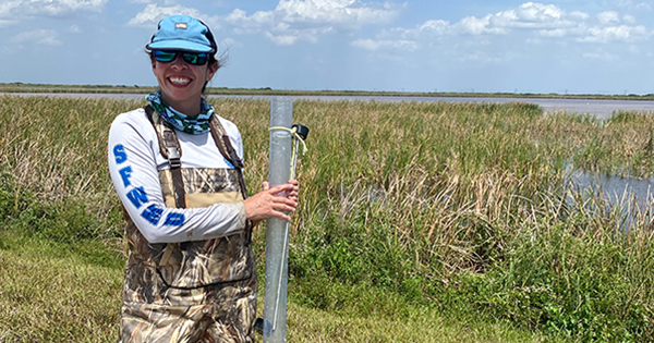 Staff member collecting sample in the field