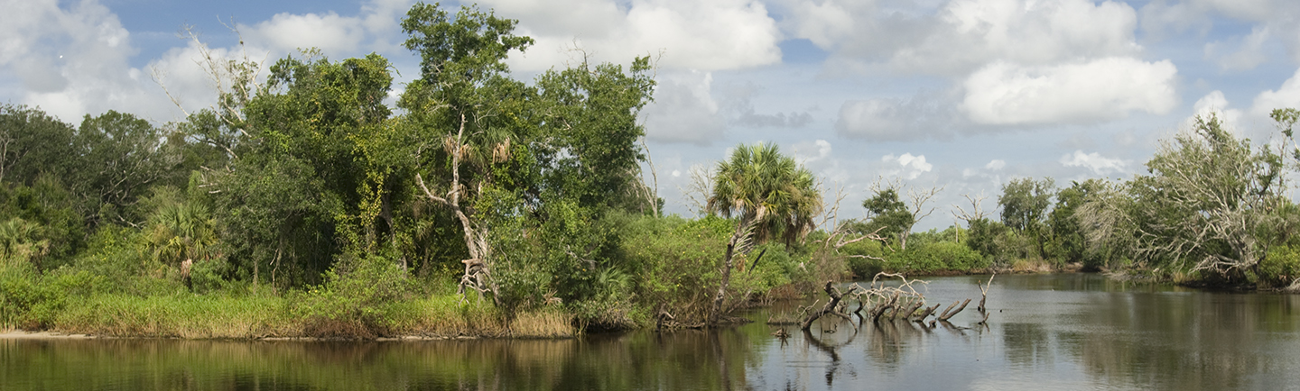 scenic photo of Kissimmee River