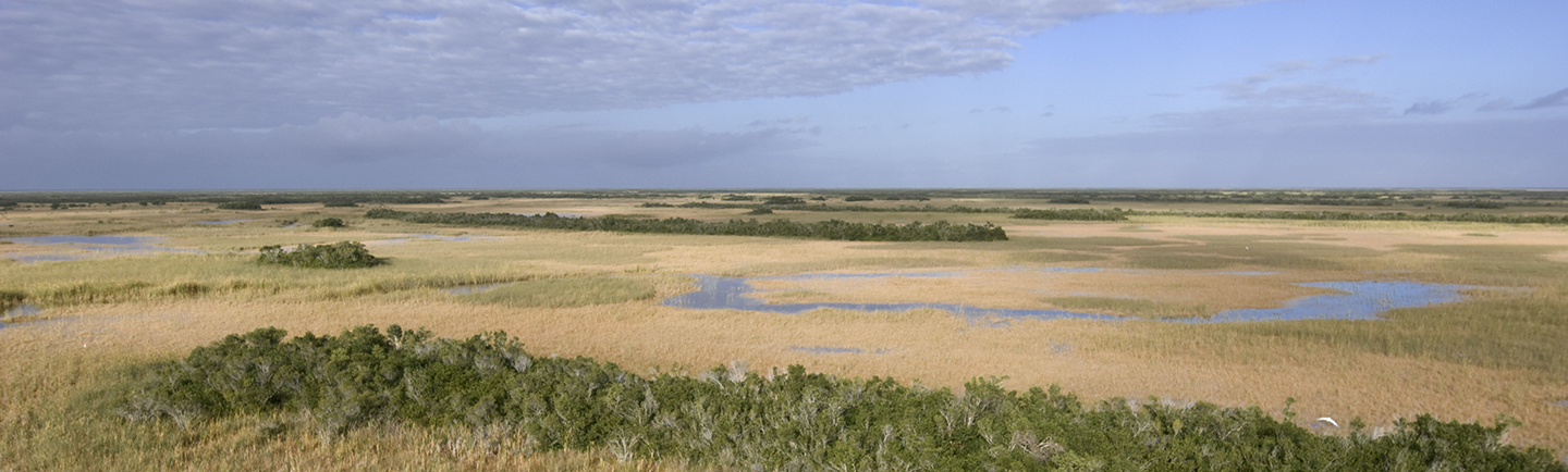 scenic Everglades