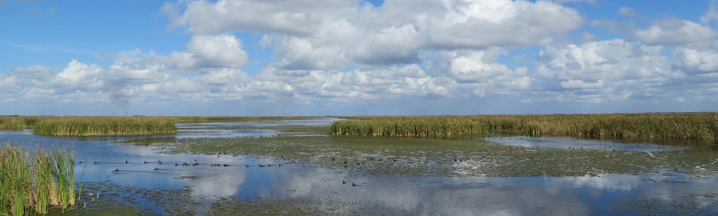 scenic Everglades