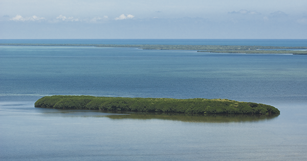 biscayne bay island