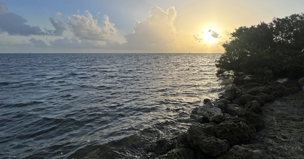 Biscayne Bay Coastal