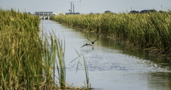 canal with structure in the distance