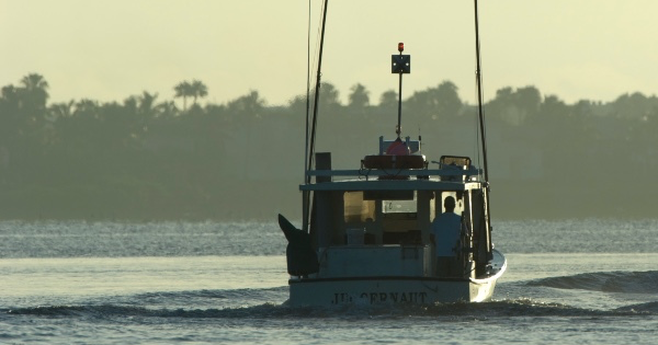 boat on the water