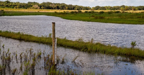 meter sticking out of water