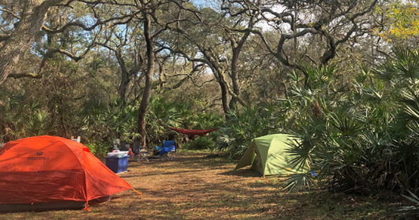 Tents and camping gear set up in shaded forest