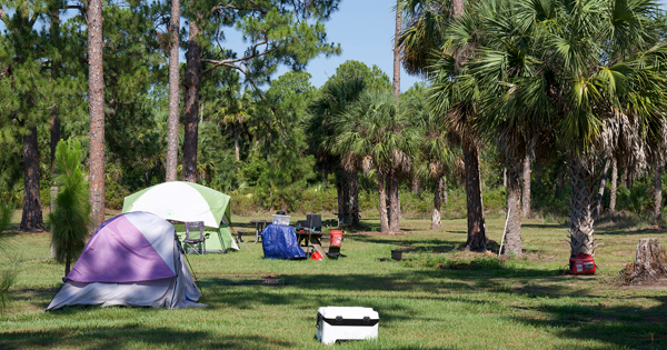 Tents and camping equipment set up in a grassy recreation area