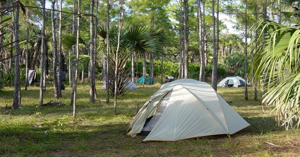 tent in a campsite