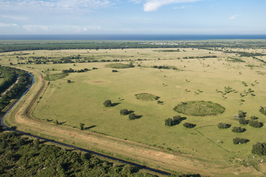 Central Florida ranchland transforming into water-treatment wetlands