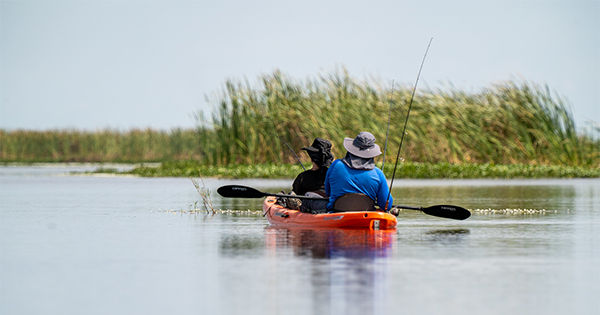 two people kayaking in a river