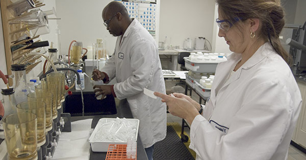 people working in a lab