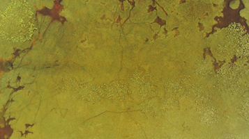 Map showing distribution of ecotopes within a Stormwater Treatment Area