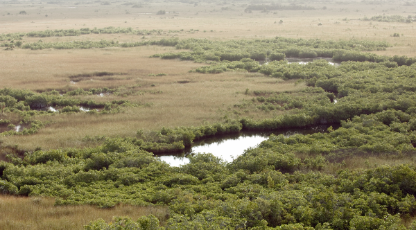 Everglades National Park