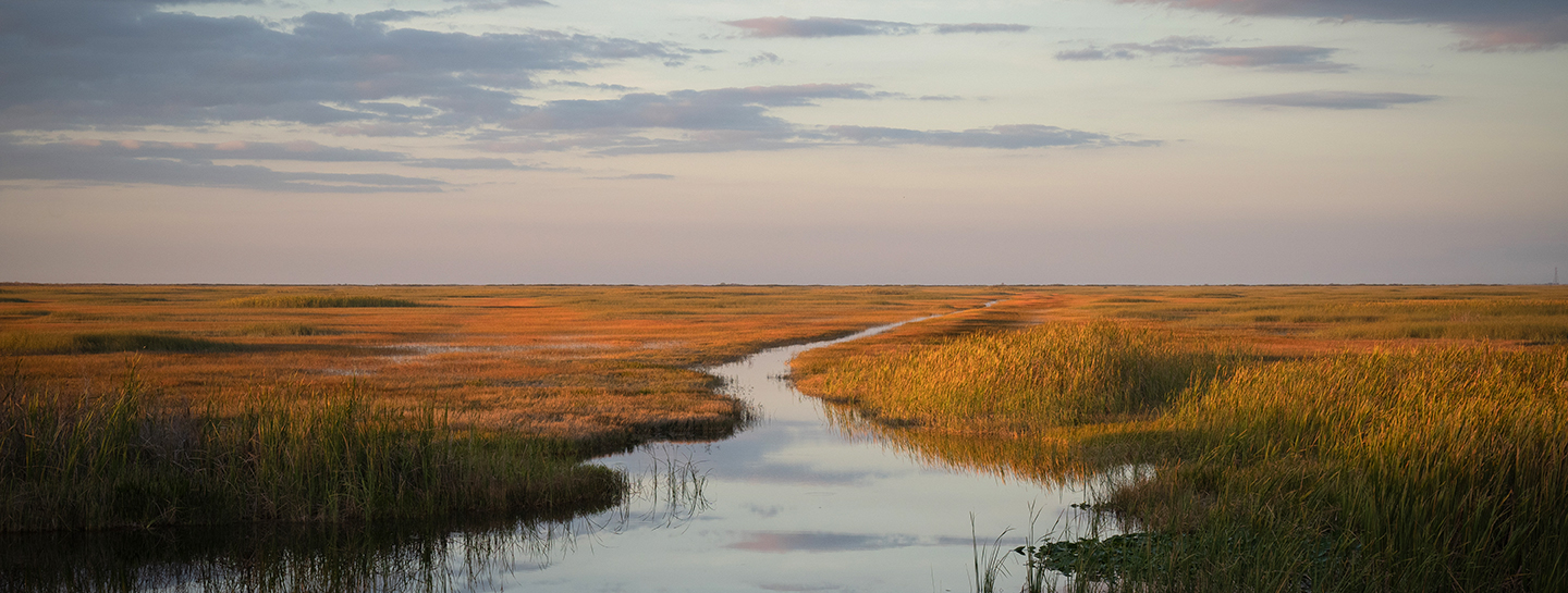 Everglades