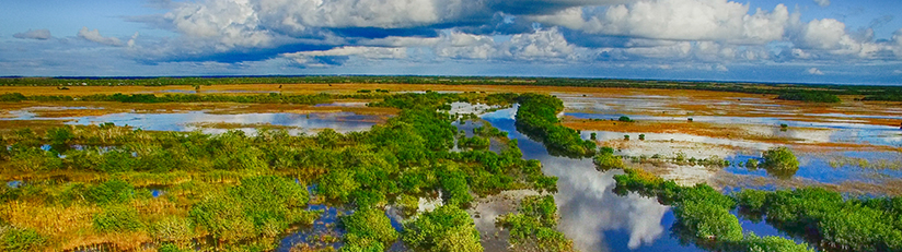 scenic Everglades aerial