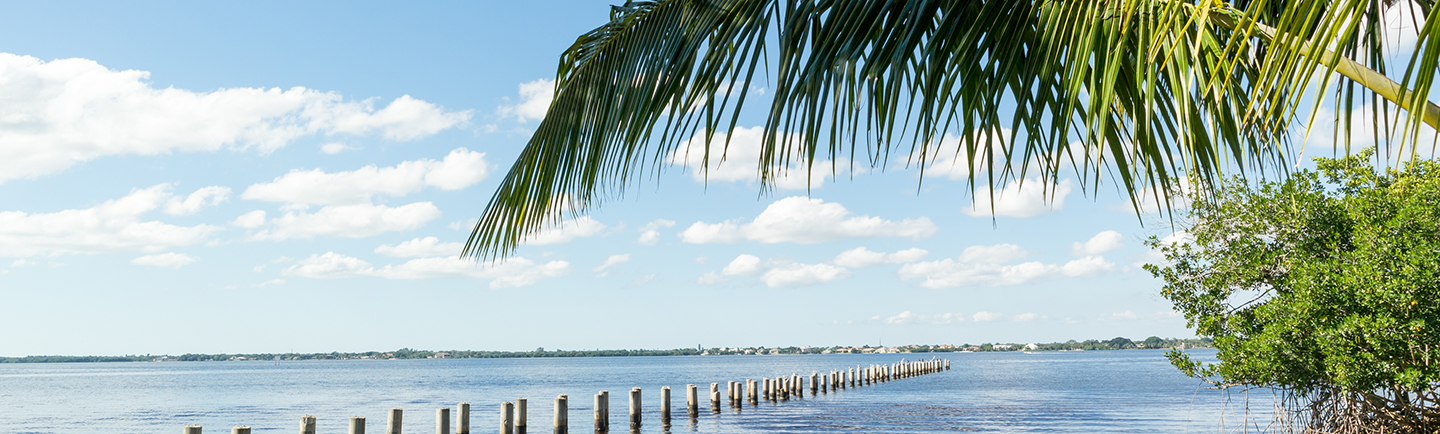 Caloosahatchee River scenic