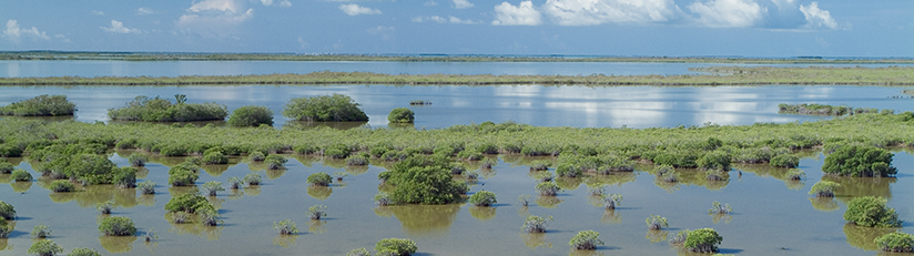 florida bay scenic