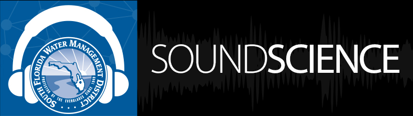 feature image sound science