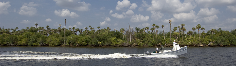 commercial fishing boat on the St. Lucie River
